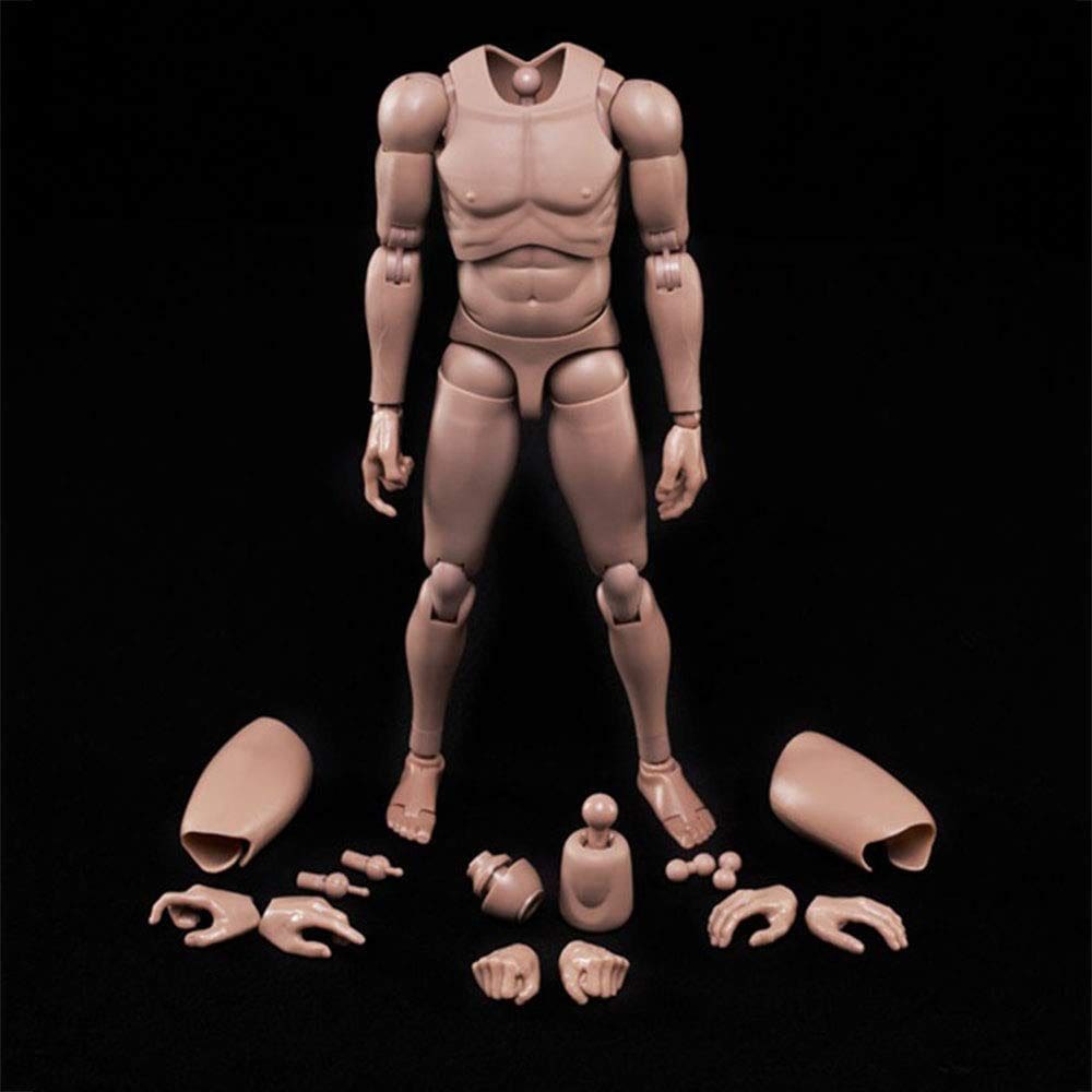 Figura de ação SOUFORCE 1:6 Scale Muscle Male Europe Skin