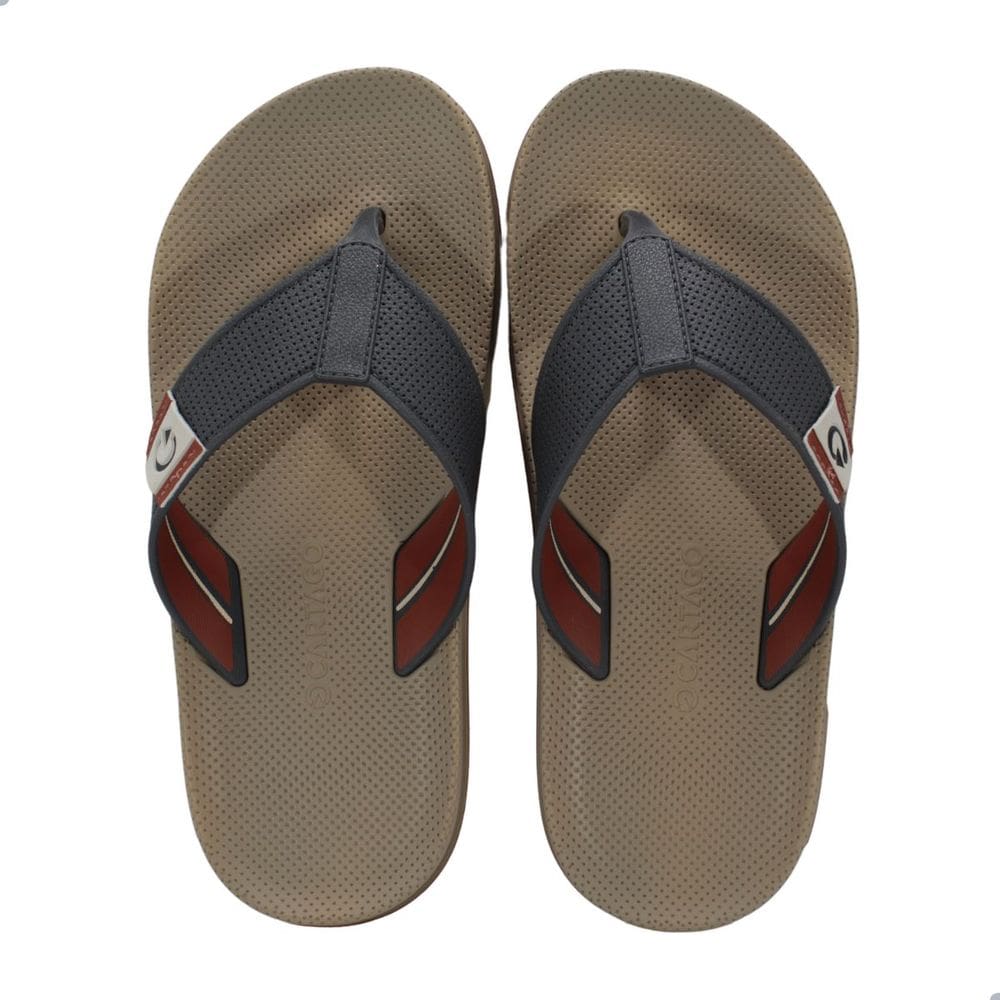 Chinelo Masculino Cartago Siena IV Cinza e Bege