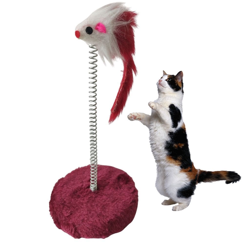 Arranhador Gato Pet Ratinho Mola Guizo Animal de Estimaçao Felino Brinquedo Interativo Macio Pelucia Entretenimento Lazer Diversao