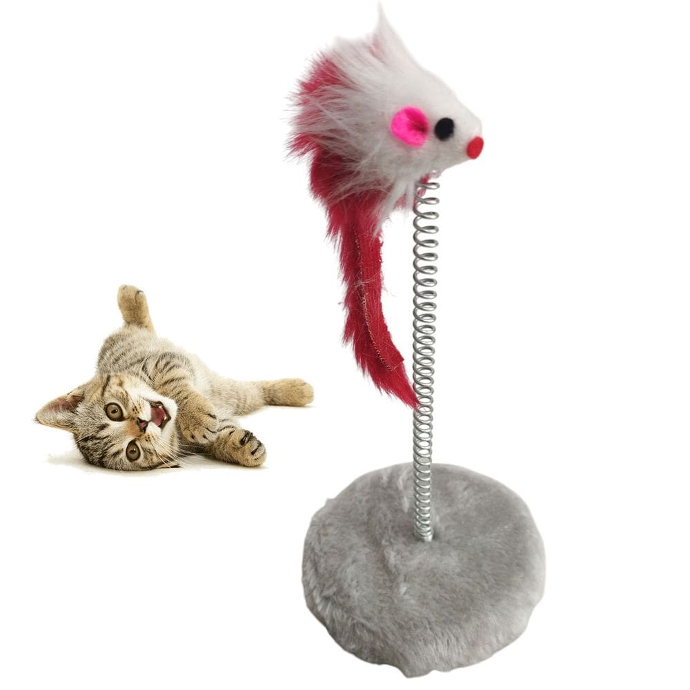 Arranhador Gato Pet Mola Ratinho Guizo Brinquedo Interativo Pelucia Macio Felino Animal de Estimaço Lazer Entretenimento Diversao