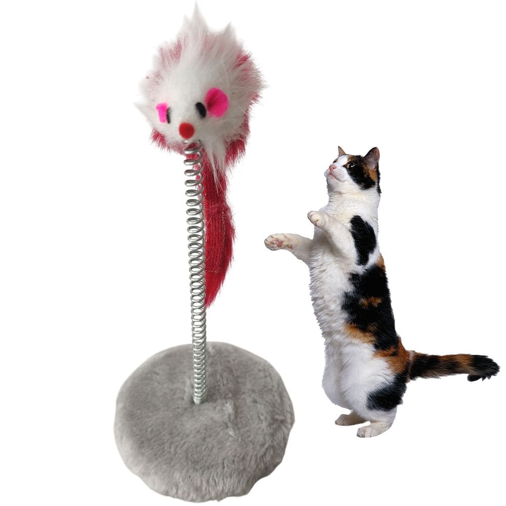 Arranhador Gato Pet Ratinho Mola Guizo Felino Animal de Estimaçao Brinquedo Interativo Pelucia Macio Entretenimento Diversao Lazer