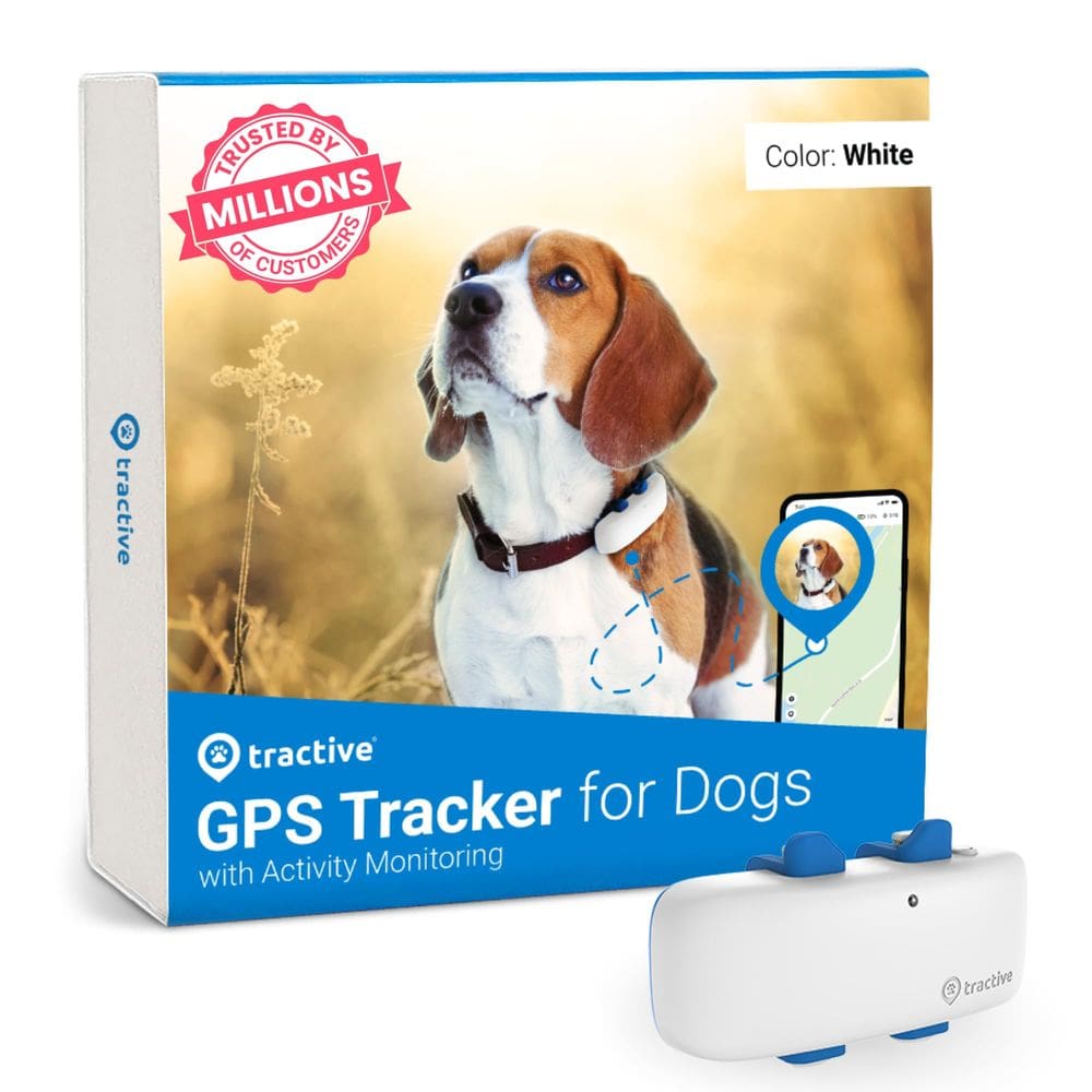 Rastreador GPS para cães Tractive Branco