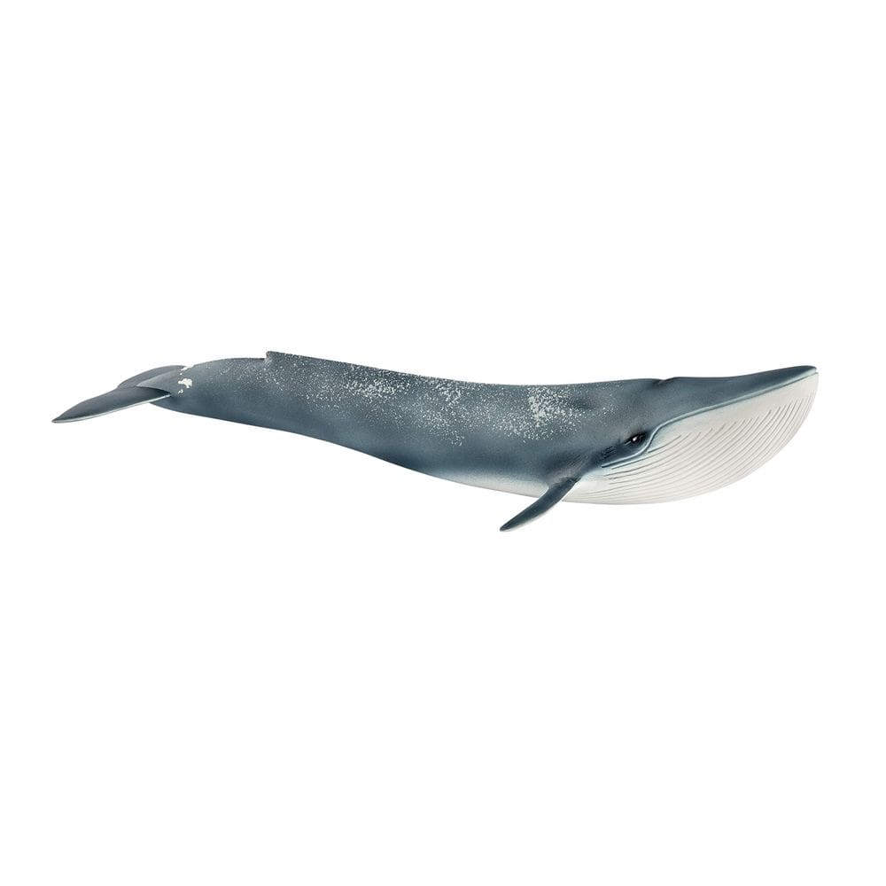 Estatueta Schleich Wild Life Realistic Blue Whale Kids 3+ Anos