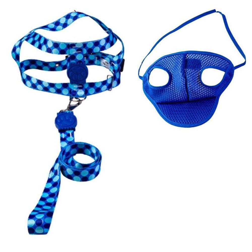 Kit Boné E Coleira Peitoral Para Cães E Gatos Nº5 - Azul