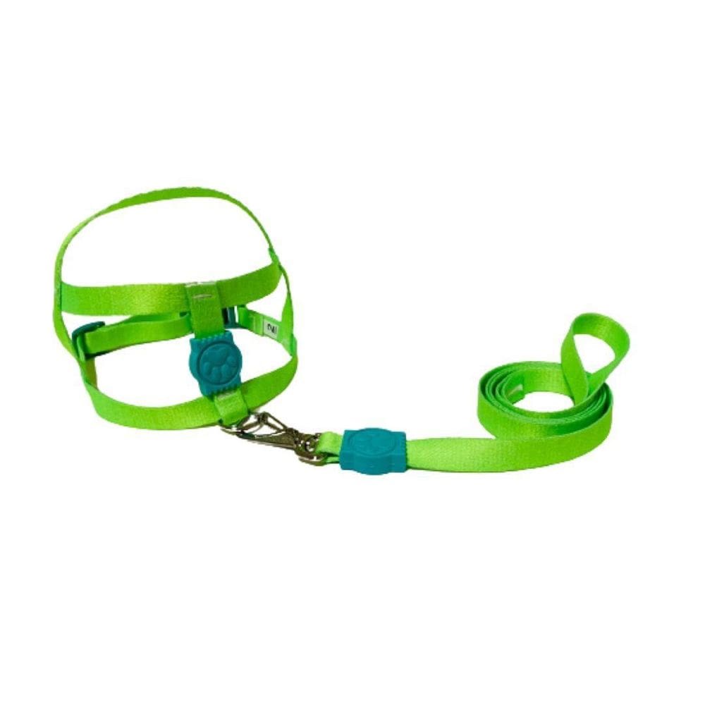 Coleira Peitoral Neon Para Cães Tradicional 15Mm - Verde Nº1
