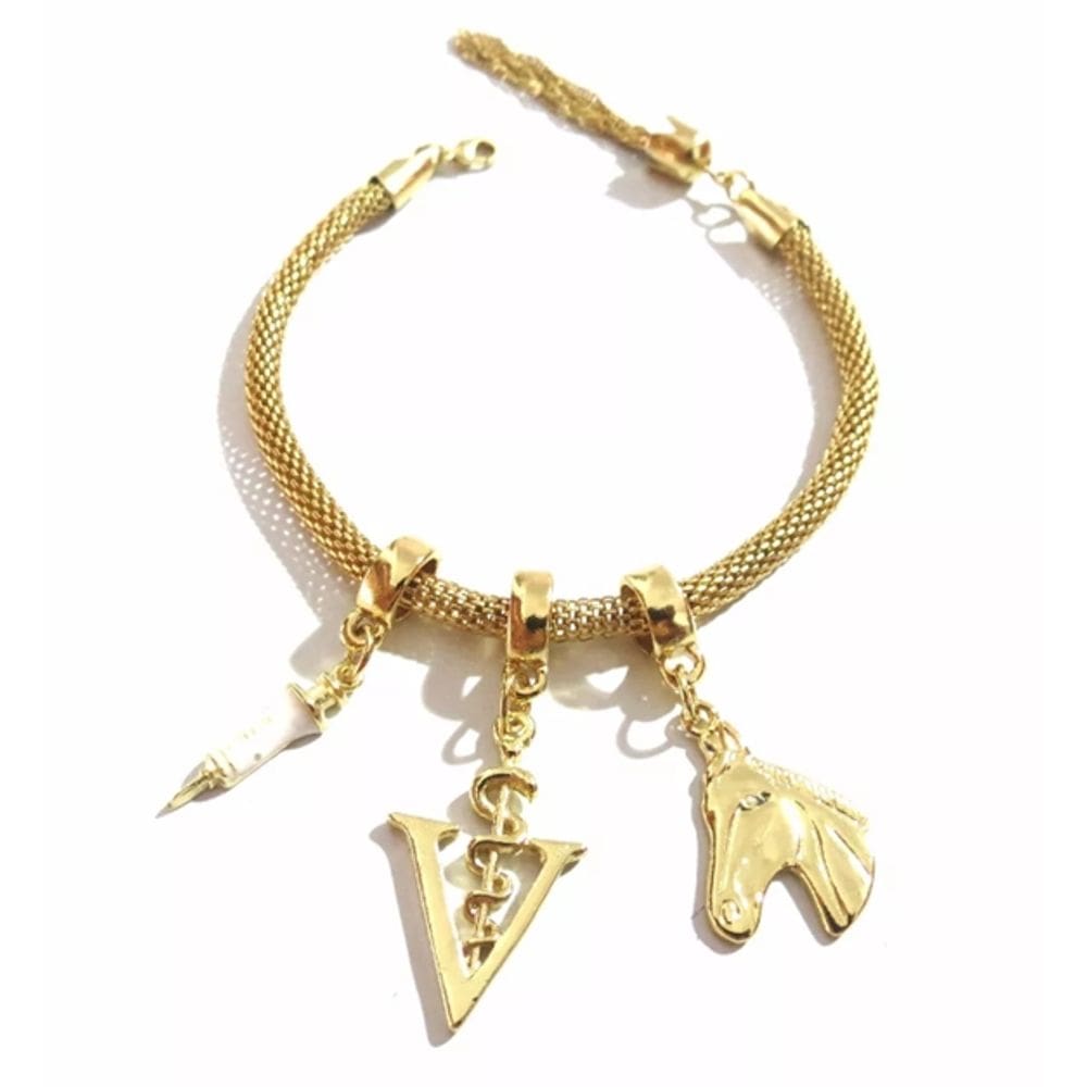 Pulseira Cavalo Seringa Veterinária Folheado A Ouro 18k