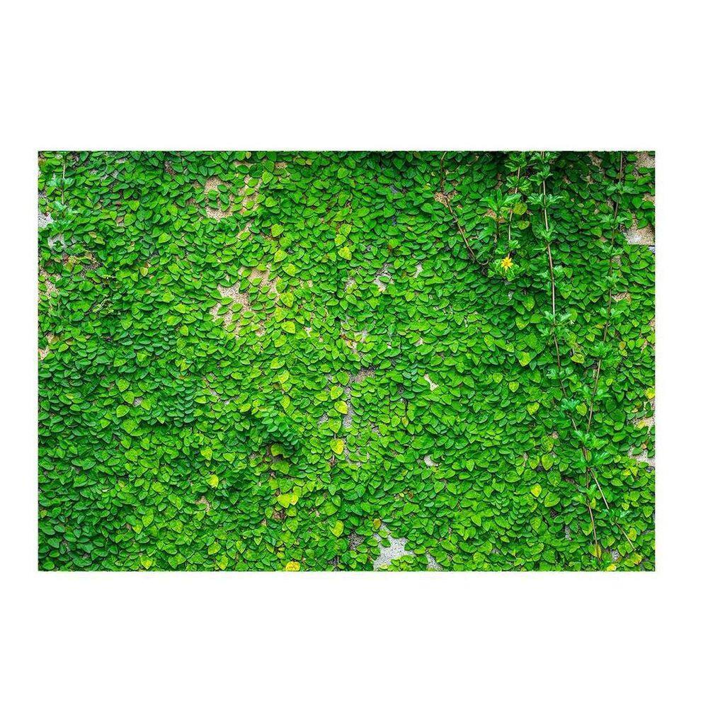 Fundo Fotográfico Muro Inglês 2,2X1,5 Fff-506