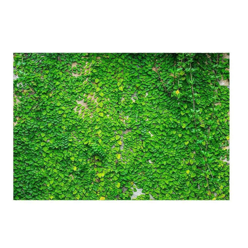 Fundo Fotográfico Muro Inglês 2,2X1,5 Fff-506