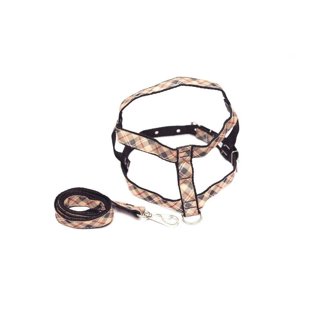 Kit Guia com peitoral 25mm marrom tamanho 7 54 cm a 68 cm