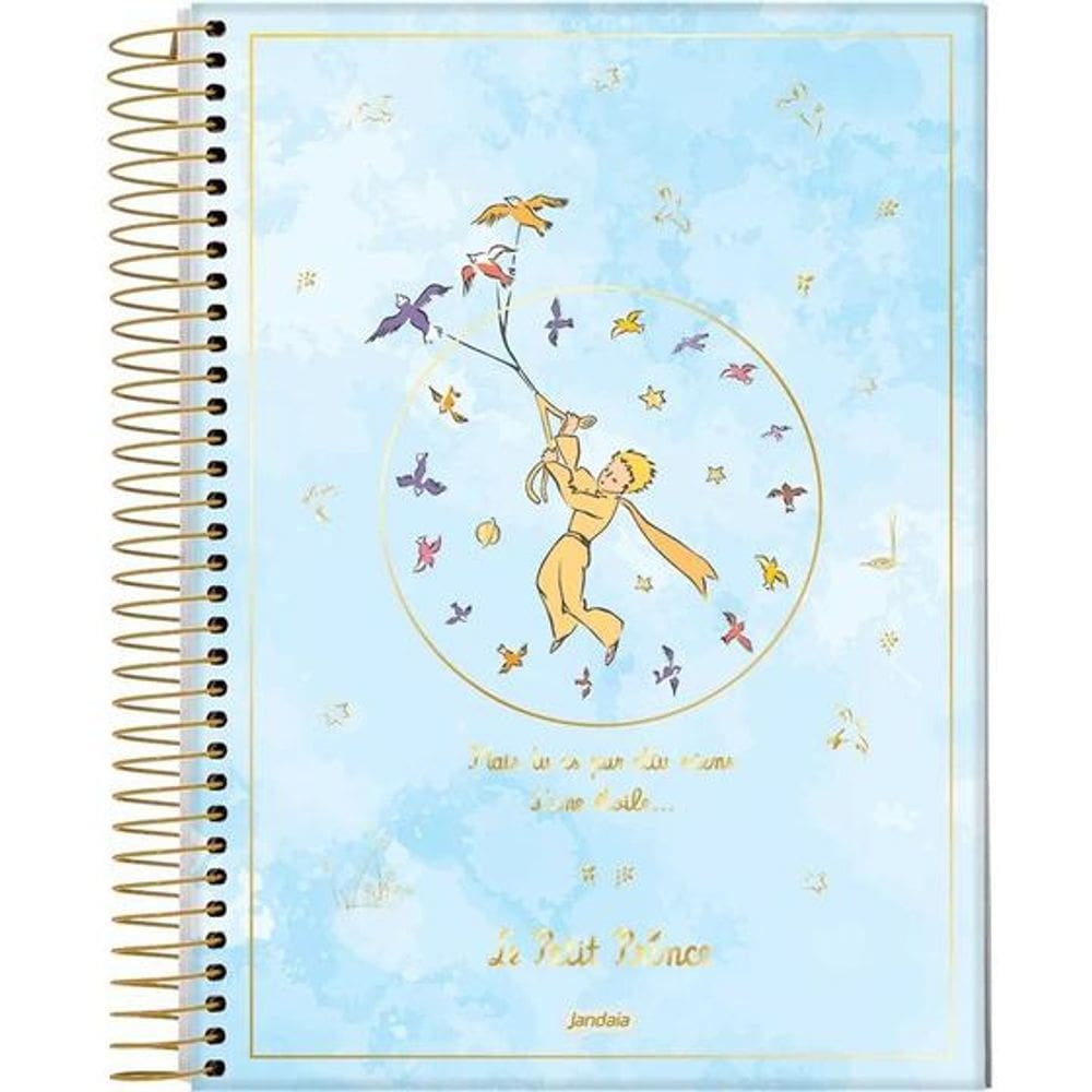 Caderno Espiral Capa Dura Colegial 10 Matérias O Pequeno Príncipe 160 Folhas Jandaia 5056