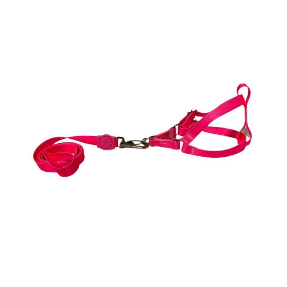 Coleira Peitoral Neon Para Cães Americano 15Mm - Rosa Nº4