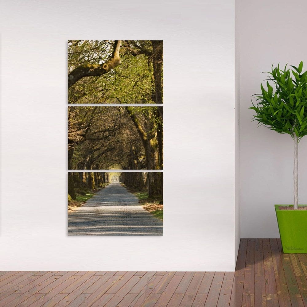 Quadro decorativo Corredor de Árvores Vertical Natureza