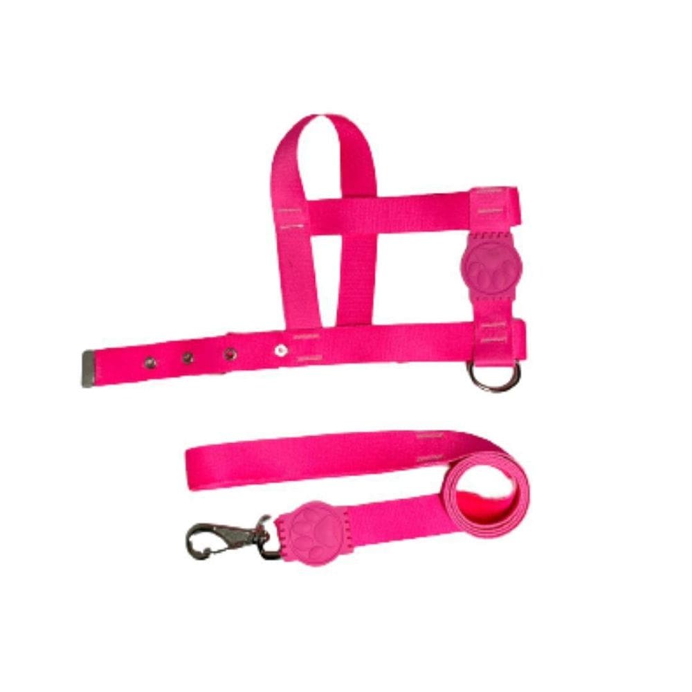Coleira Peitoral Neon Para Cães Tradicional 25Mm - Rosa Nº5