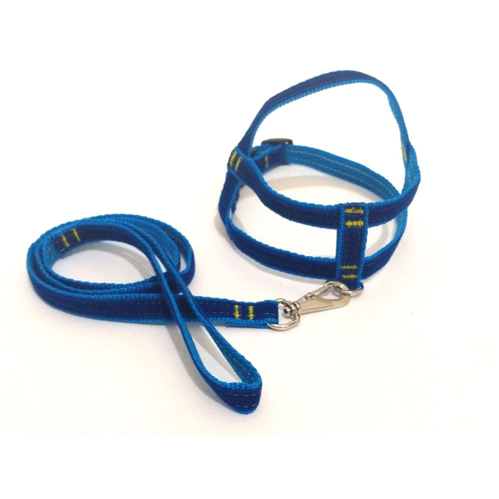Conjunto Peitoral de Veludo liso azul  tamanho 02