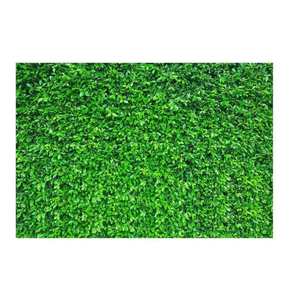 Fundo Fotográfico Muro Inglês 2,2X1,5 Fff-507