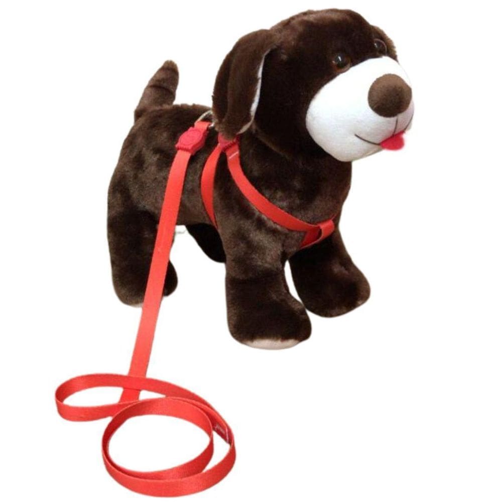 Coleira Peitoral Para Cachorro - Laranja Nº 2