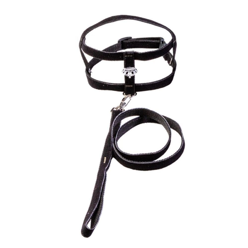 Coleira Peitoral Tradicional Com Aplique - Nº 03