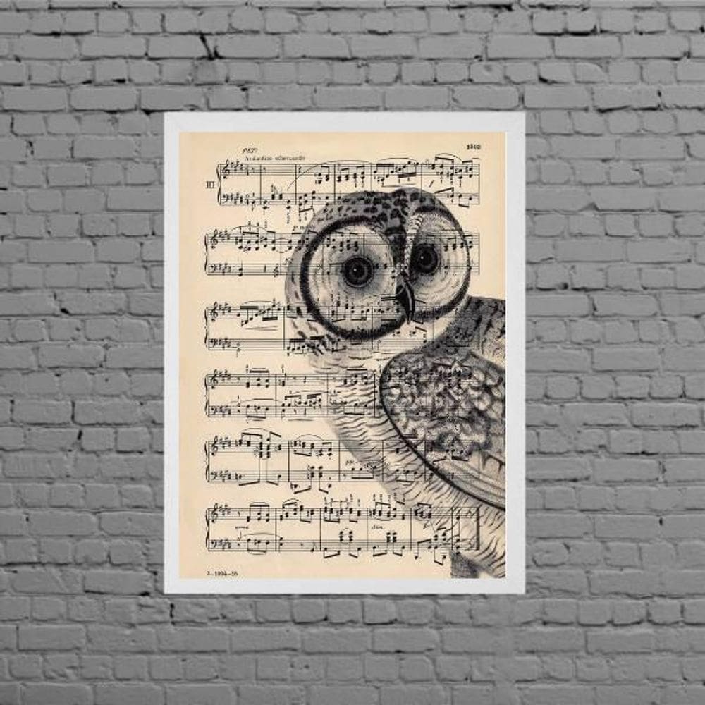 Quadro Coruja Com Partitura 45X34Cm