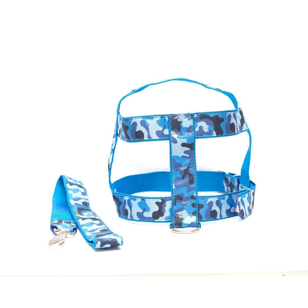 Kit Guia com peitoral 25mm azul tamanho 6  53 cm a 70 cm