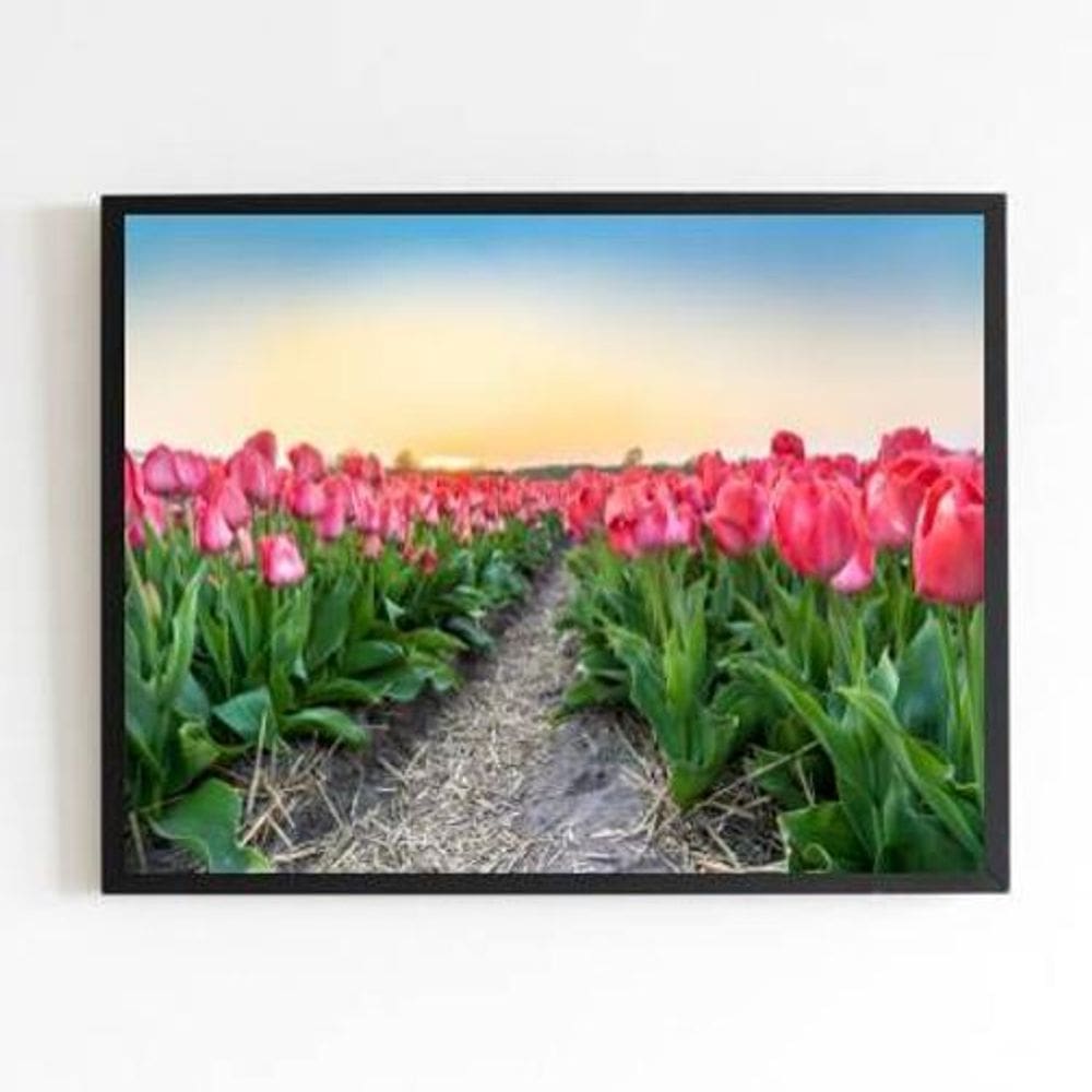 Quadro Fotografia Campo De Tulipas 45X34Cm Com Vidro Preta