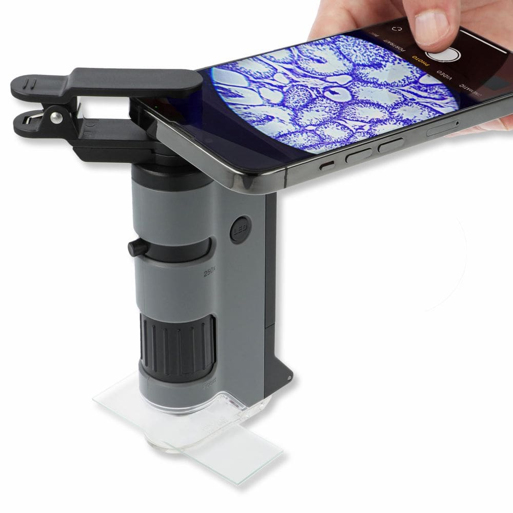 Microscópio de bolso Carson MicroFlip 100x-250x LED UV com clipe