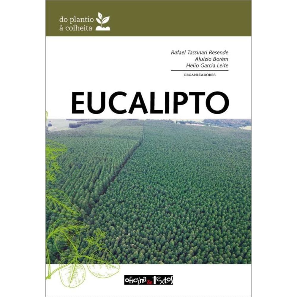 Eucalipto