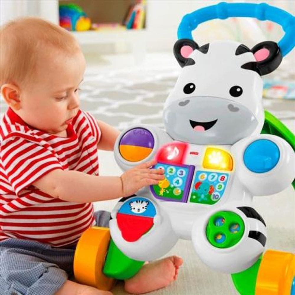 Apoiador Musical C/ Atividades Zebrinha DLH48 - Fisher-Price