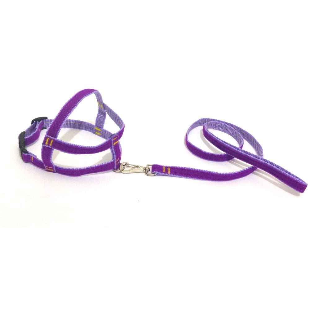Conjunto Peitoral de Veludo liso roxo  tamanho 02