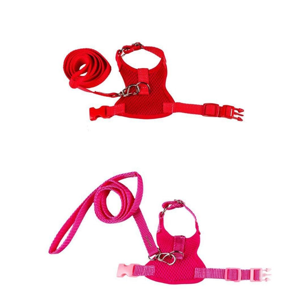 Kit 2 Coleiras Peitorais Para Porquinho Da Índia