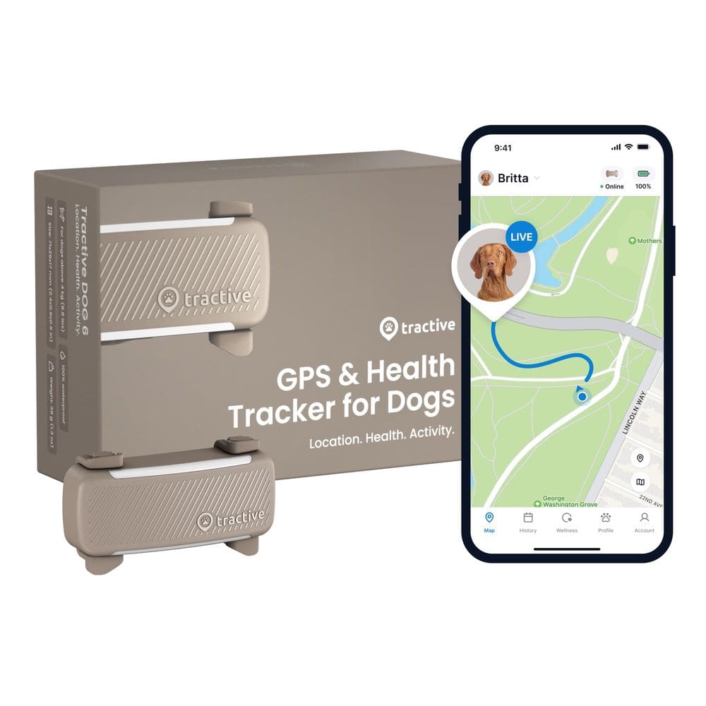 GPS Dog Tracker Tractive 2025, lançado em tempo real, marrom