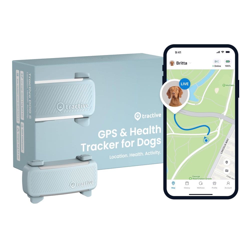 GPS Dog Tracker Tractive 2025 lança localização em tempo real