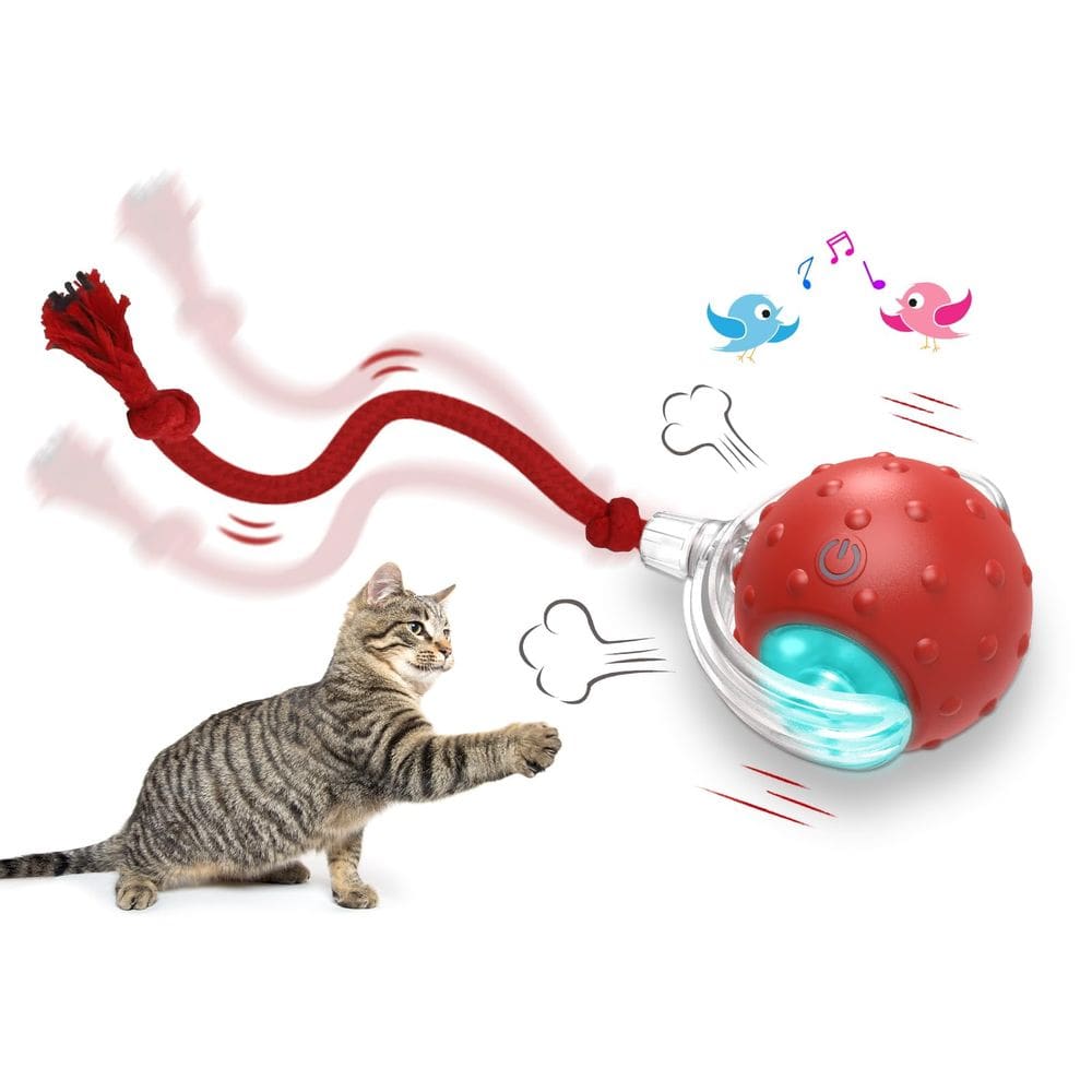 Jogo de bolas de brinquedos interativo para gatos que vivem em ambientes fechados (vermelho)