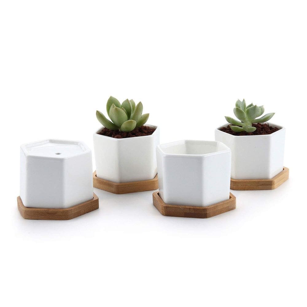 Vasos para plantas suculentas T4U, pequeno conjunto de hexágonos de cerâmica branca, 4