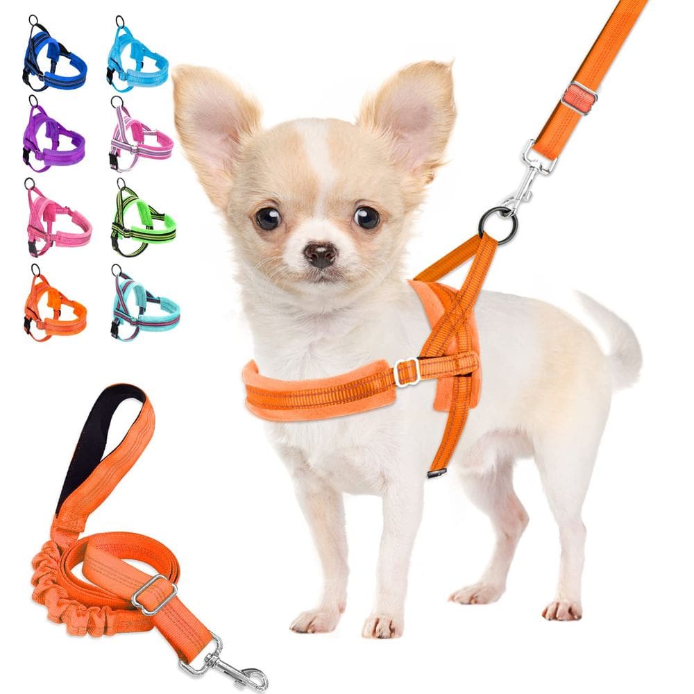 Conjunto de arnês e coleira para cães Lukovee Soft Acolchoado para cães pequenos