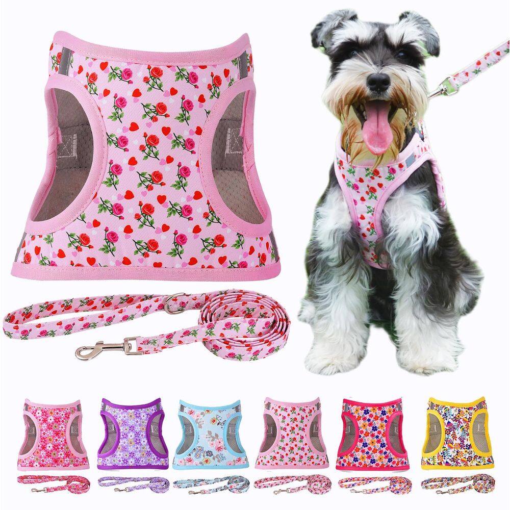 Conjunto de coleiras para cães Moonpet Valentine`s Day Reflective