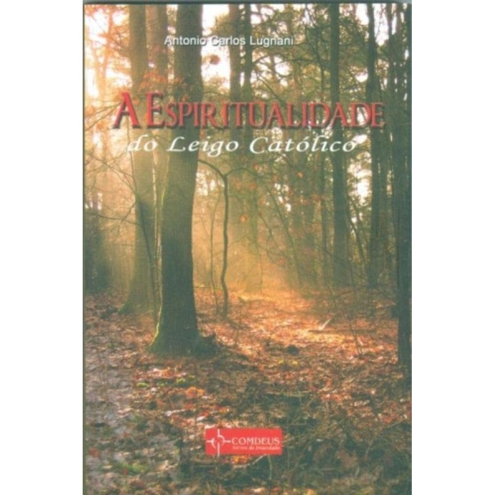 A Espiritualidade Do Leigo Católico