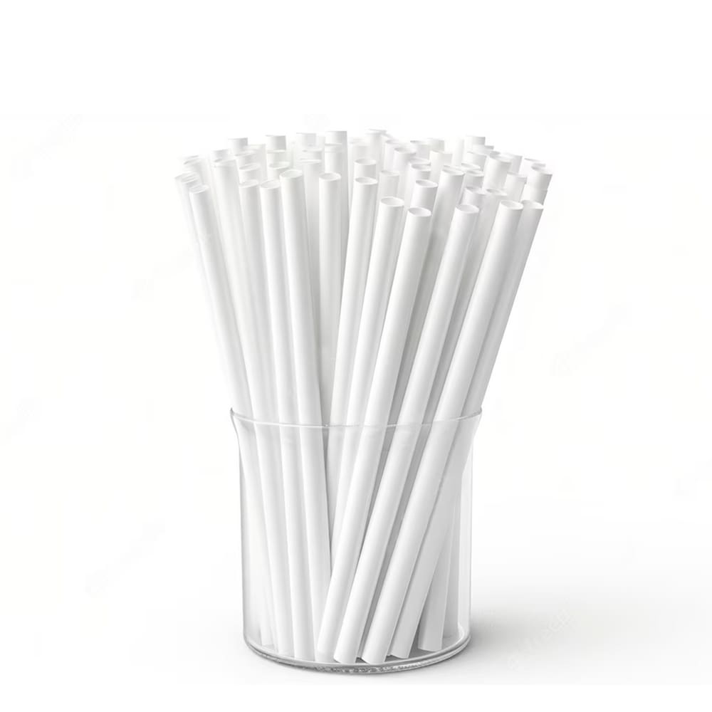 Canudo Biodegradável Pequeno 100 Unidades
