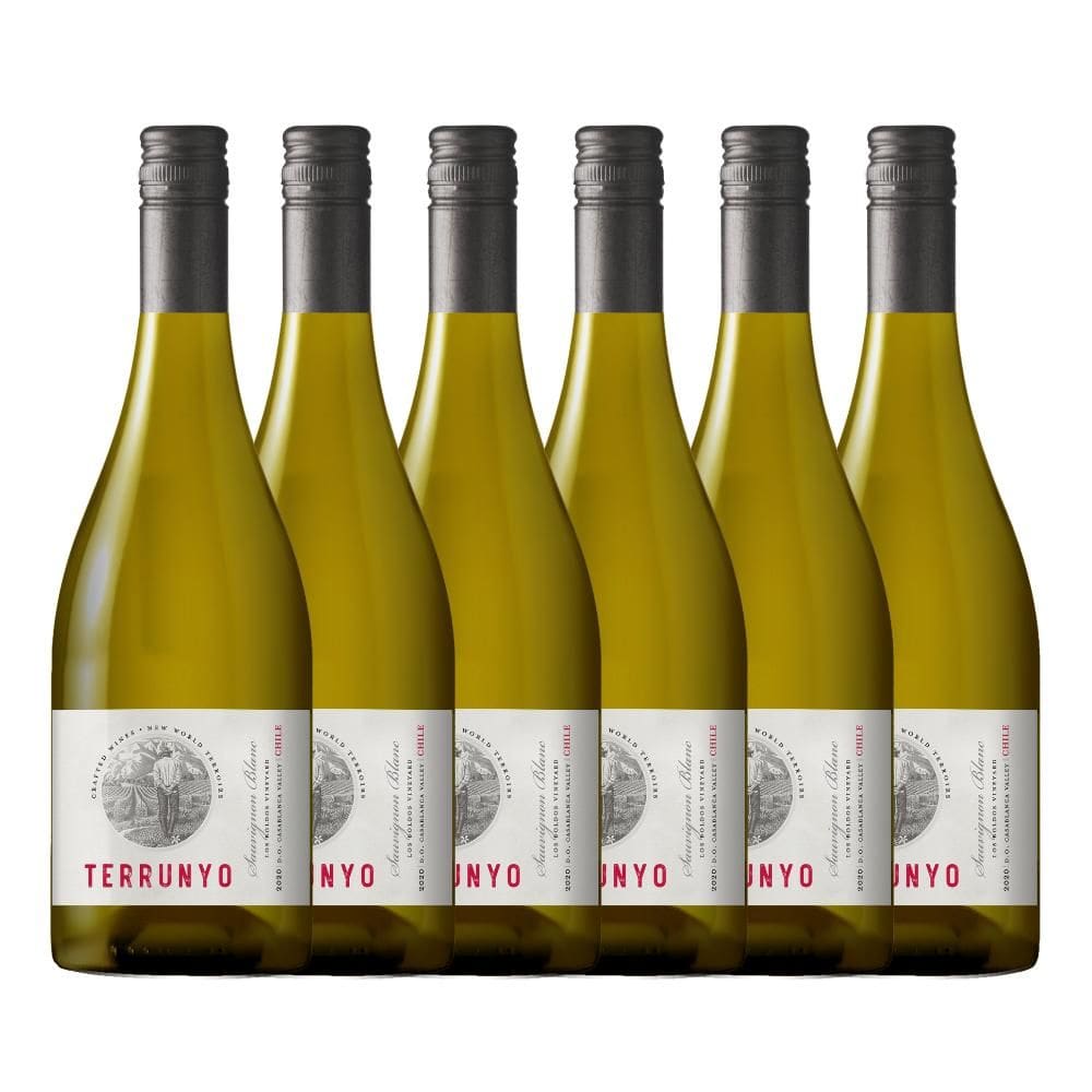 Kit 6 Vinhos Chilenos Terrunyo Sauvignon Blanc 750ml