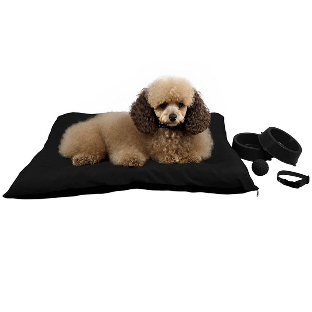 Kit Pet Médio Cama Futon Potes Água Ração Coleira Bolinha