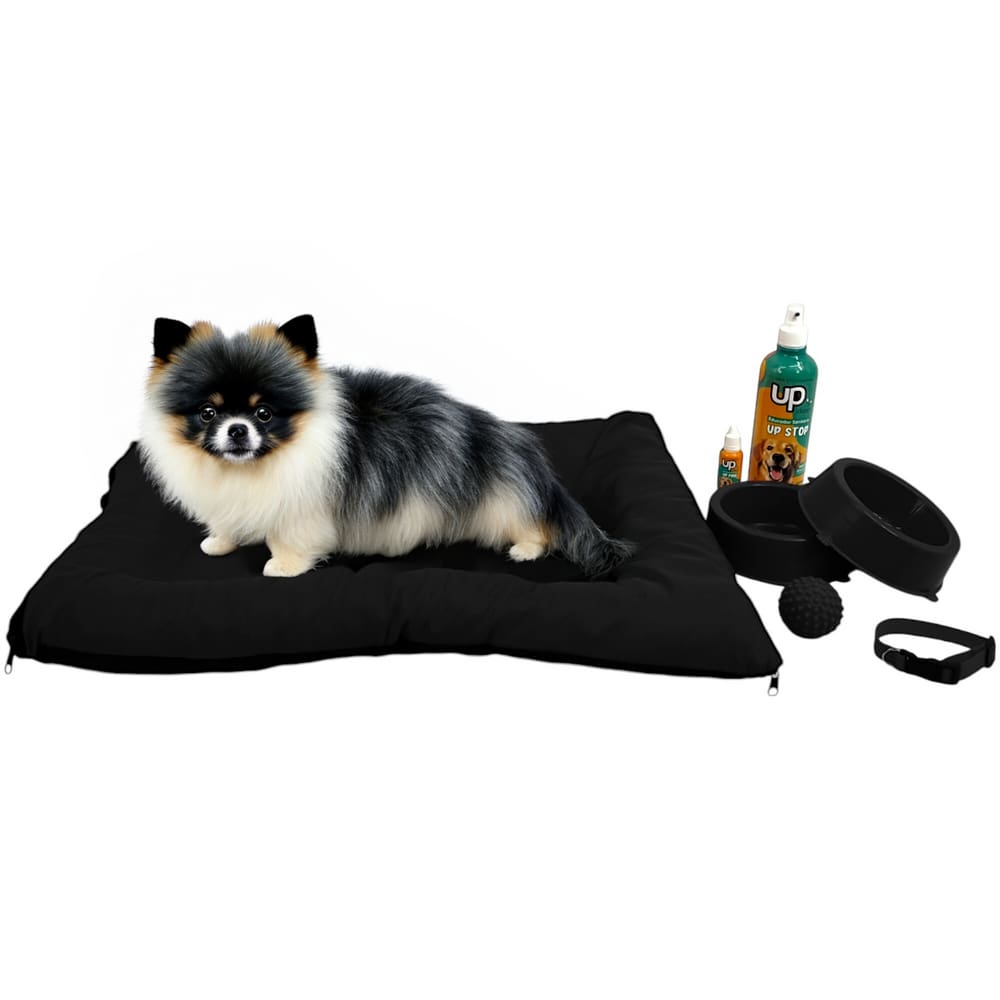 Kit Pet Pequeno Cama Futon Educador Xixi Sim/Não Cães 500ml
