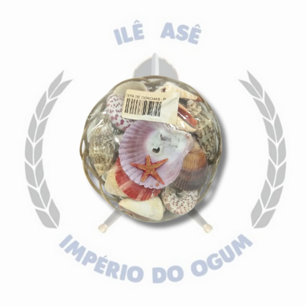 Cesta de Conchas - Tamanho P