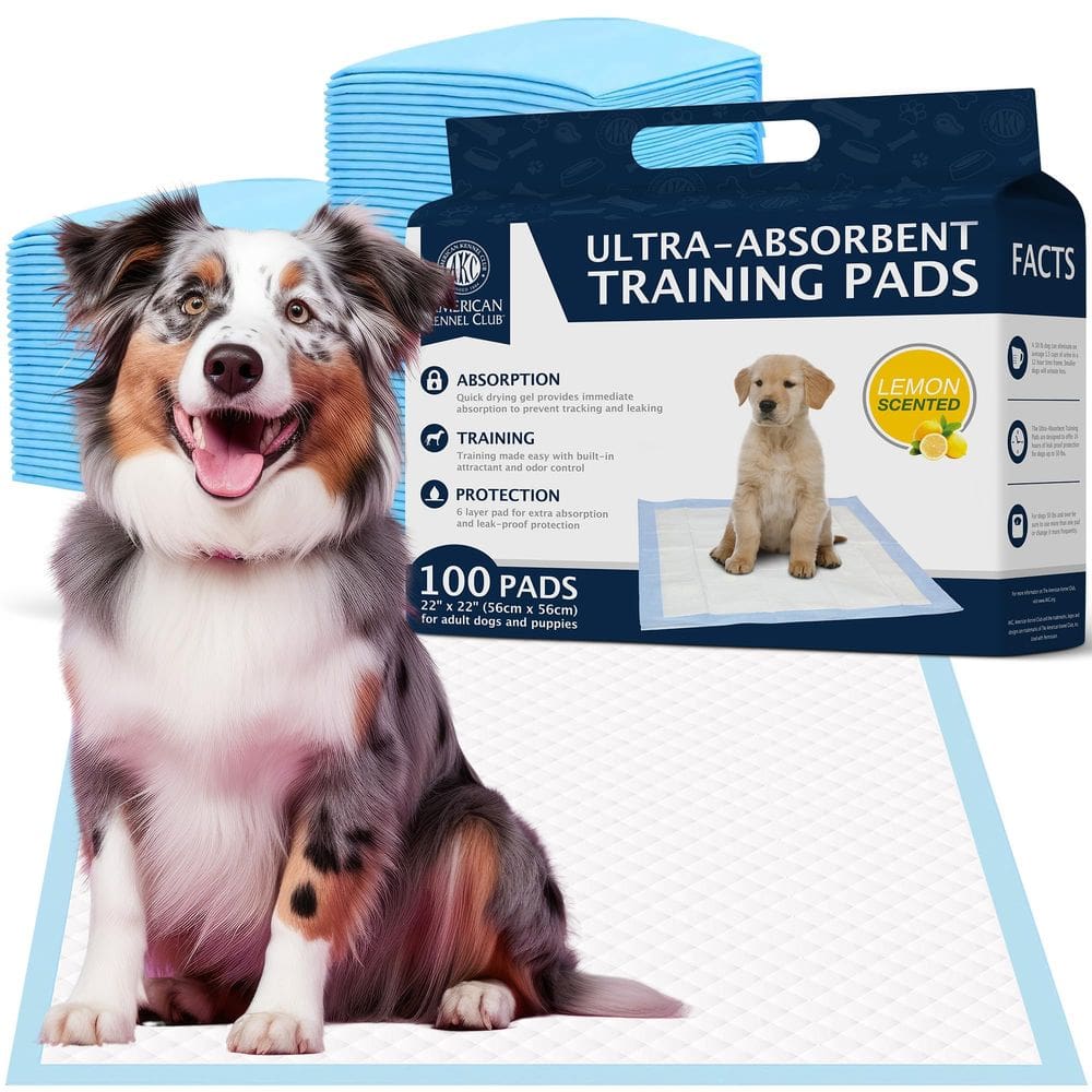 Almofadas de treinamento para filhotes American Kennel Club 100 unidades de limão