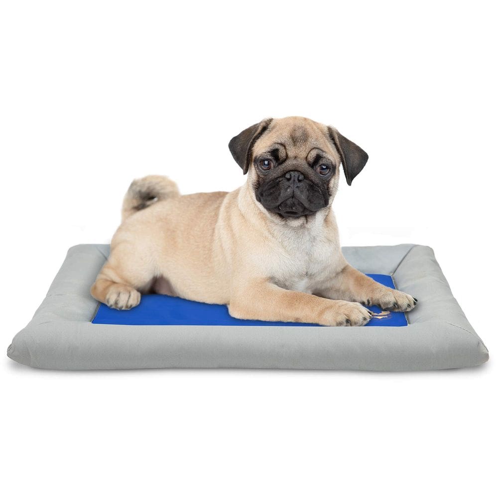 Cama de resfriamento para cães Arf Pets Solid Gel, tapete autorefrigerante de gel 20x30 polegadas