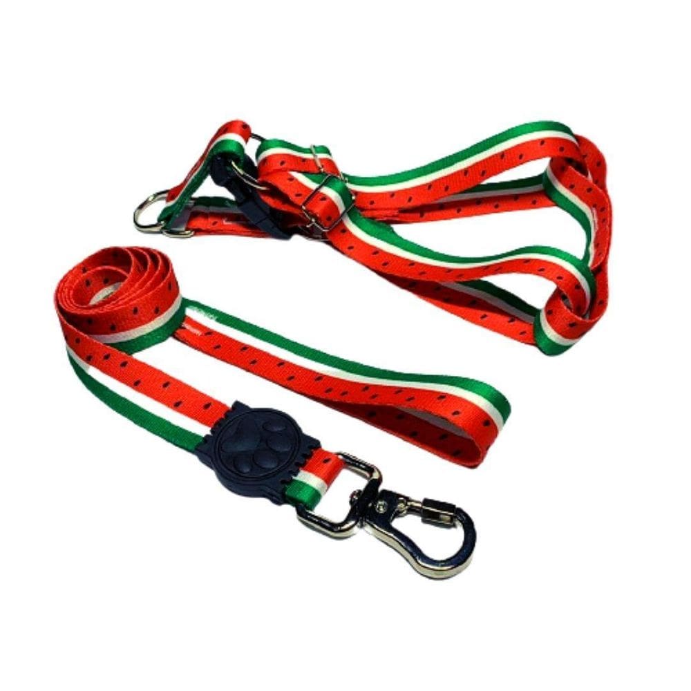 Coleira Peitoral Cães Super Premium Seda 25 Mm - Vermelho 3