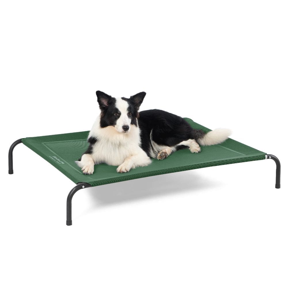 Cama para cães Bedsure Large Elevated Cooling Outdoor Green