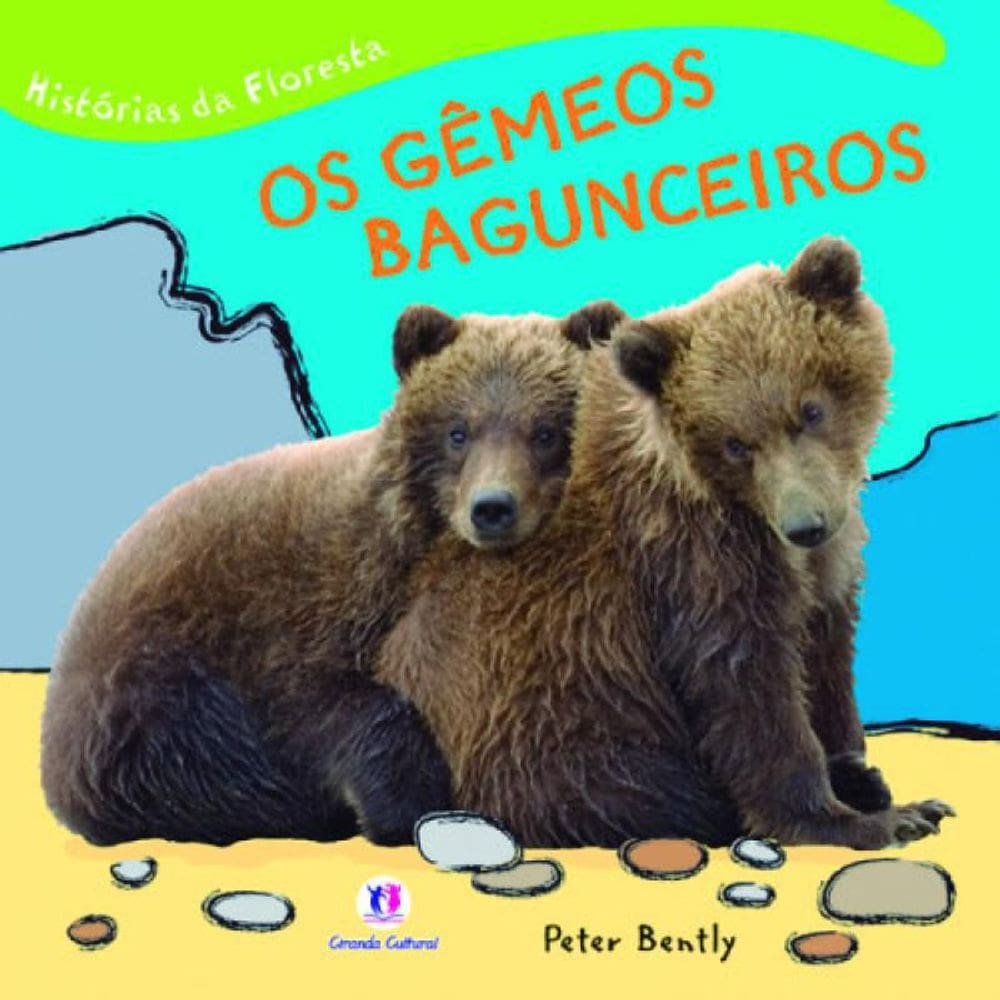 Livro Gemeos Bagunceiros, Os