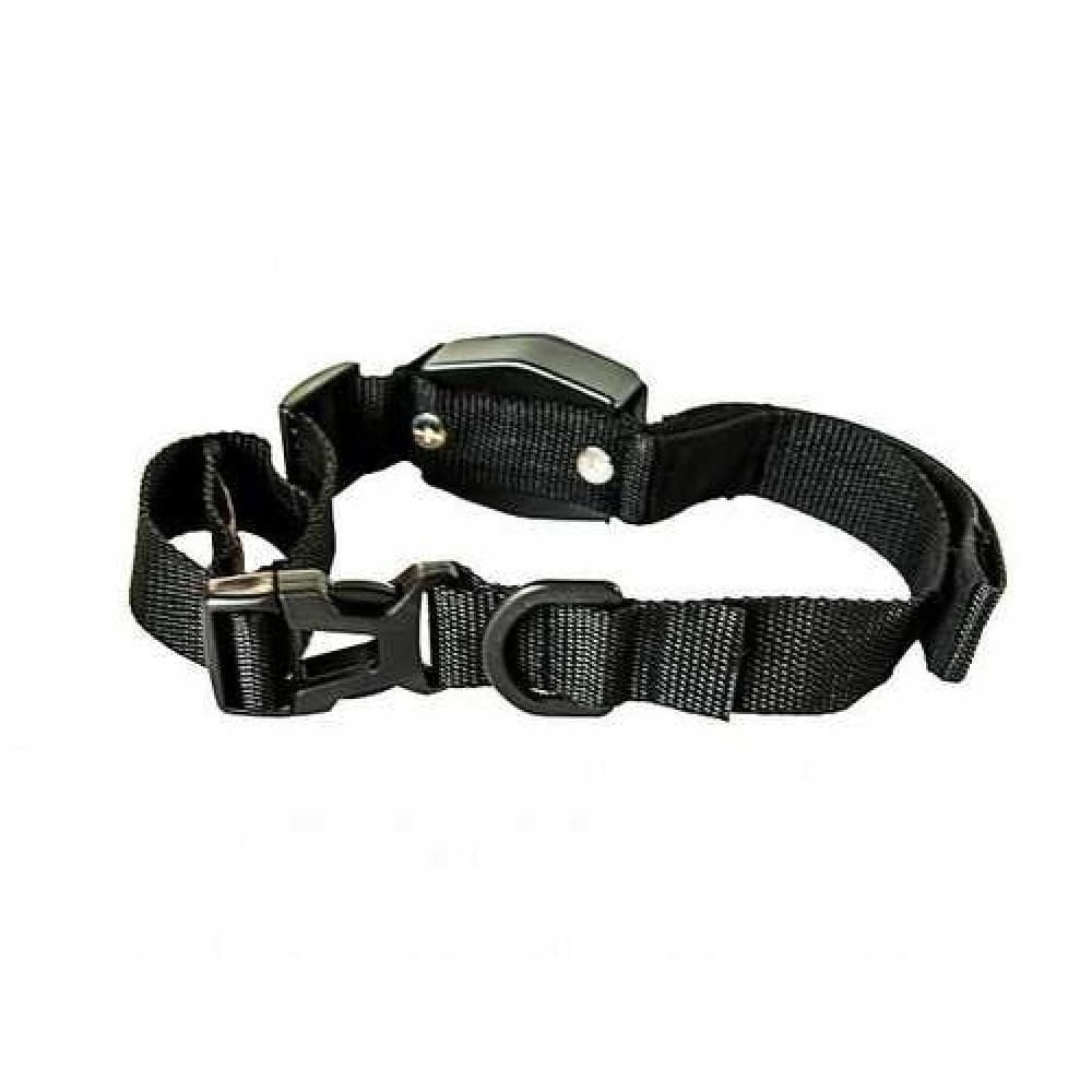 Guia Coleira Magnética Retrátil 2 E 1 Para Cachorros E Gatos -treinamento E Adestramento Lucky Leash