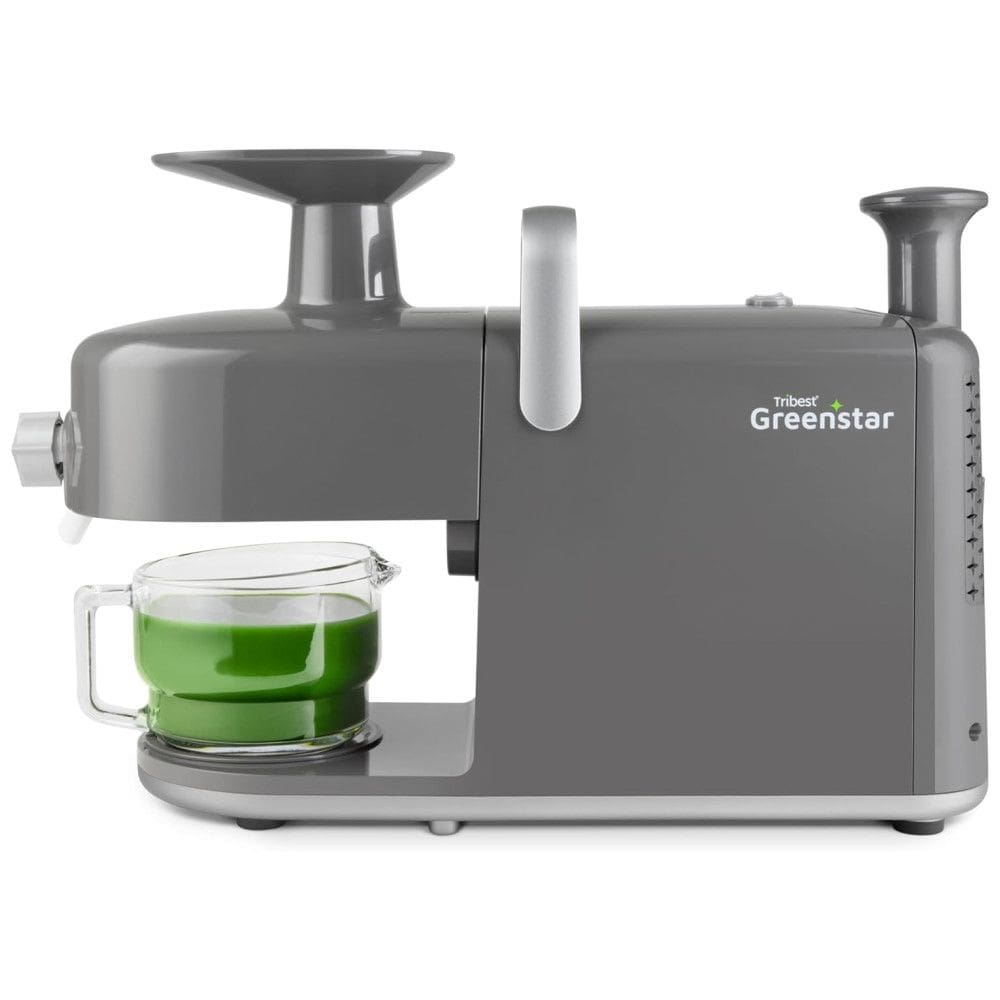Centrifuga de Frutas em Aço Inoxidável com Duplo Mastigador, Caixa de Limpeza Fácil, Ferramenta de Limpeza de Tela e Jarro de Vidro, 110V
