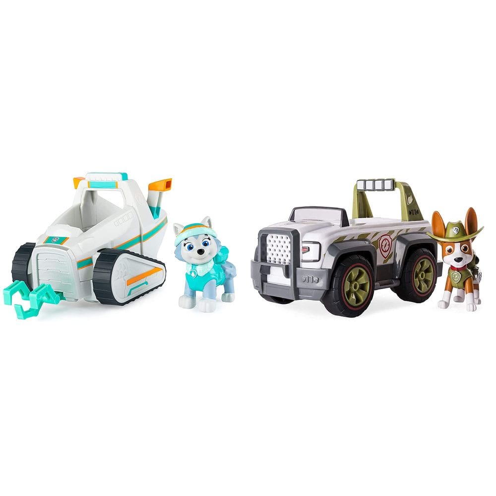 Pacote de veículos de brinquedo Paw Patrol Everest Snow Plow & Tracker