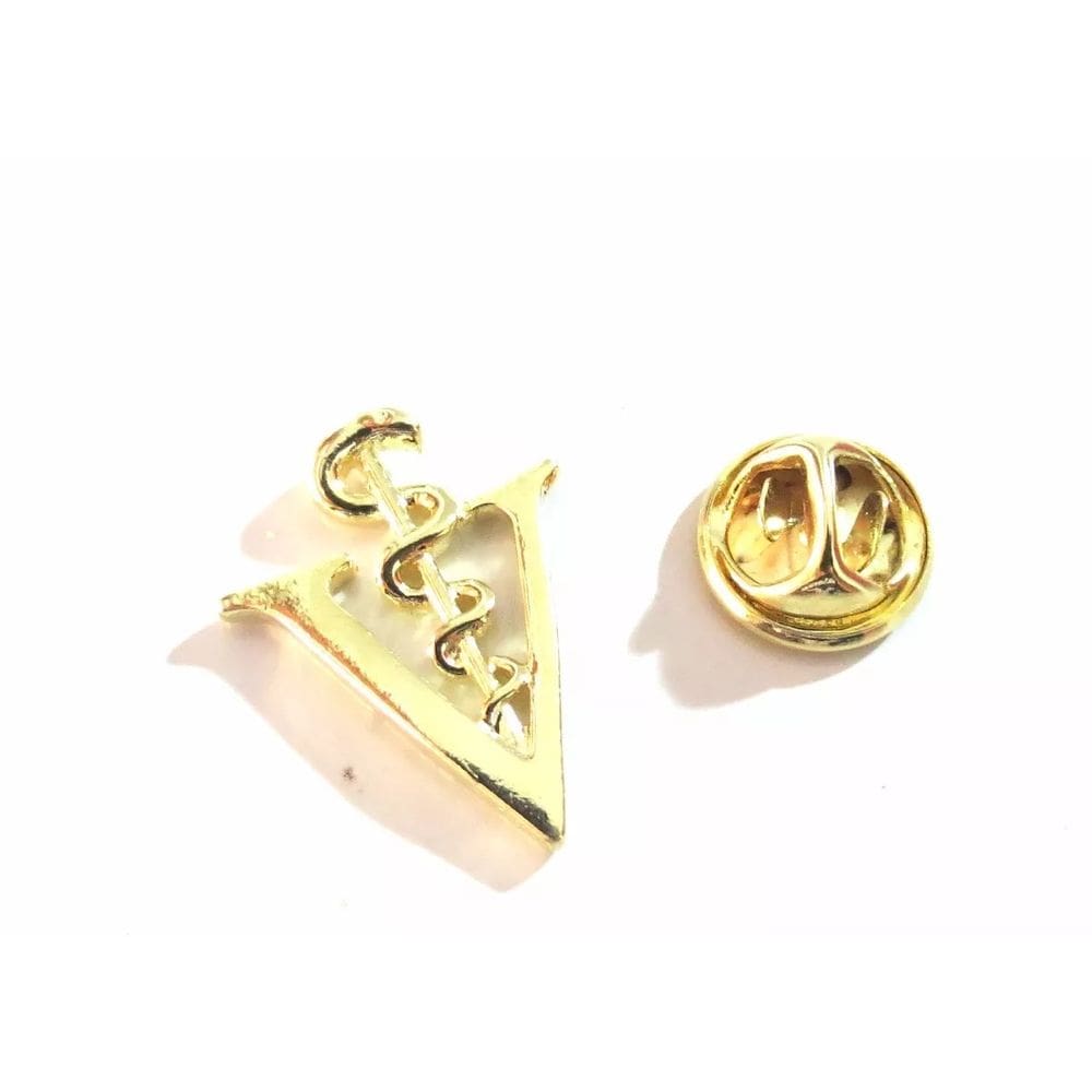 Broche Veterinária Super Lindo Folheado a Ouro 18k